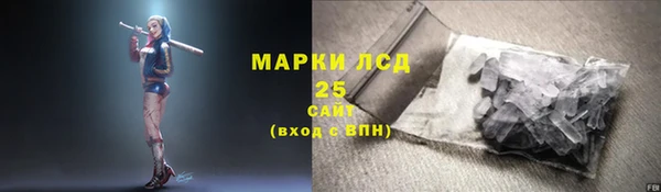 винт Аркадак