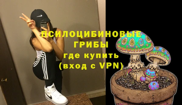 винт Аркадак